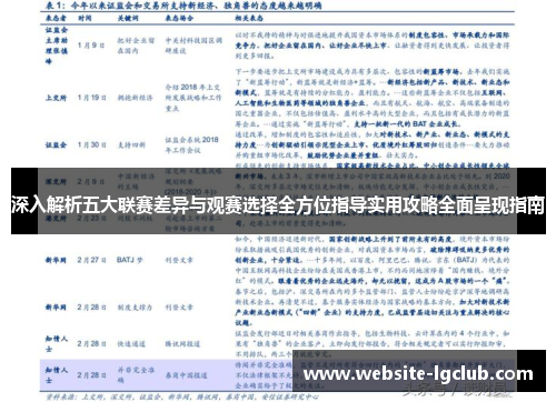 深入解析五大联赛差异与观赛选择全方位指导实用攻略全面呈现指南